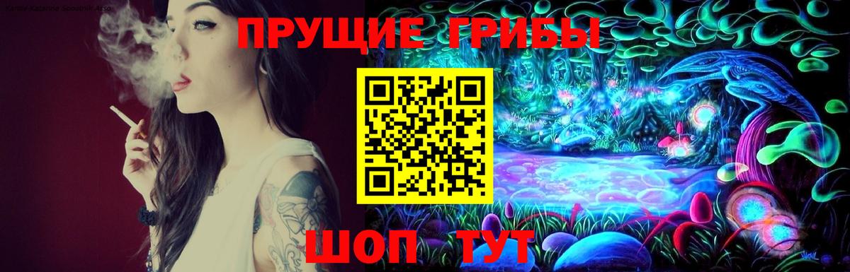 Галлюциногенные грибы Cubensis Дербент